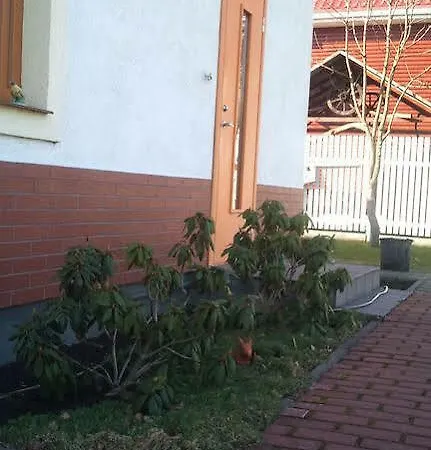 House And Pool *